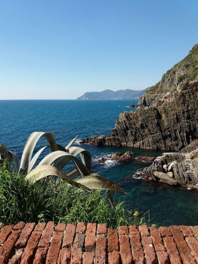 Ca'La Luna - In Centro Con Terrazza Riomaggiore Exteriör bild